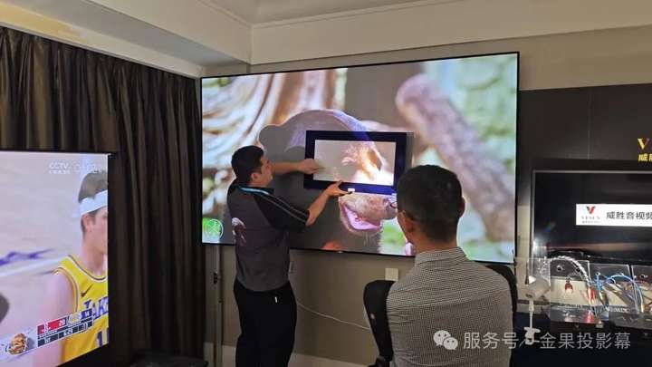 雄瑞投影幕
